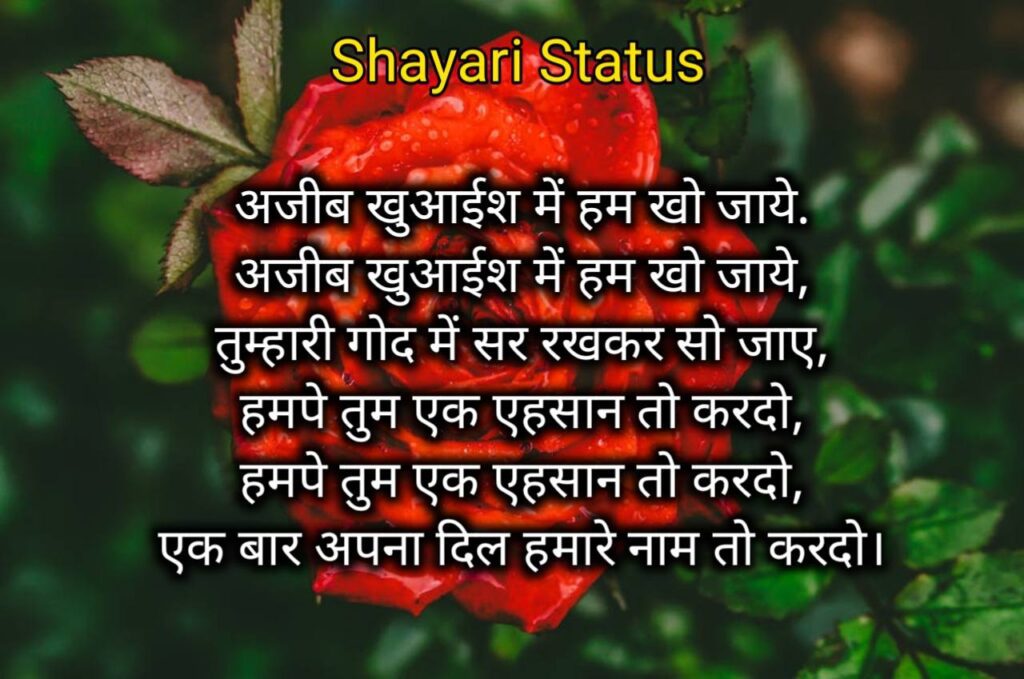 Rose day hindi shayari
