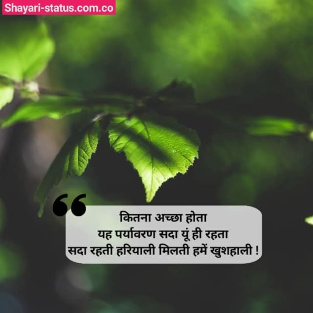Nature Status in Hindi