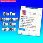 Bio For Instagram For Boy Attitude