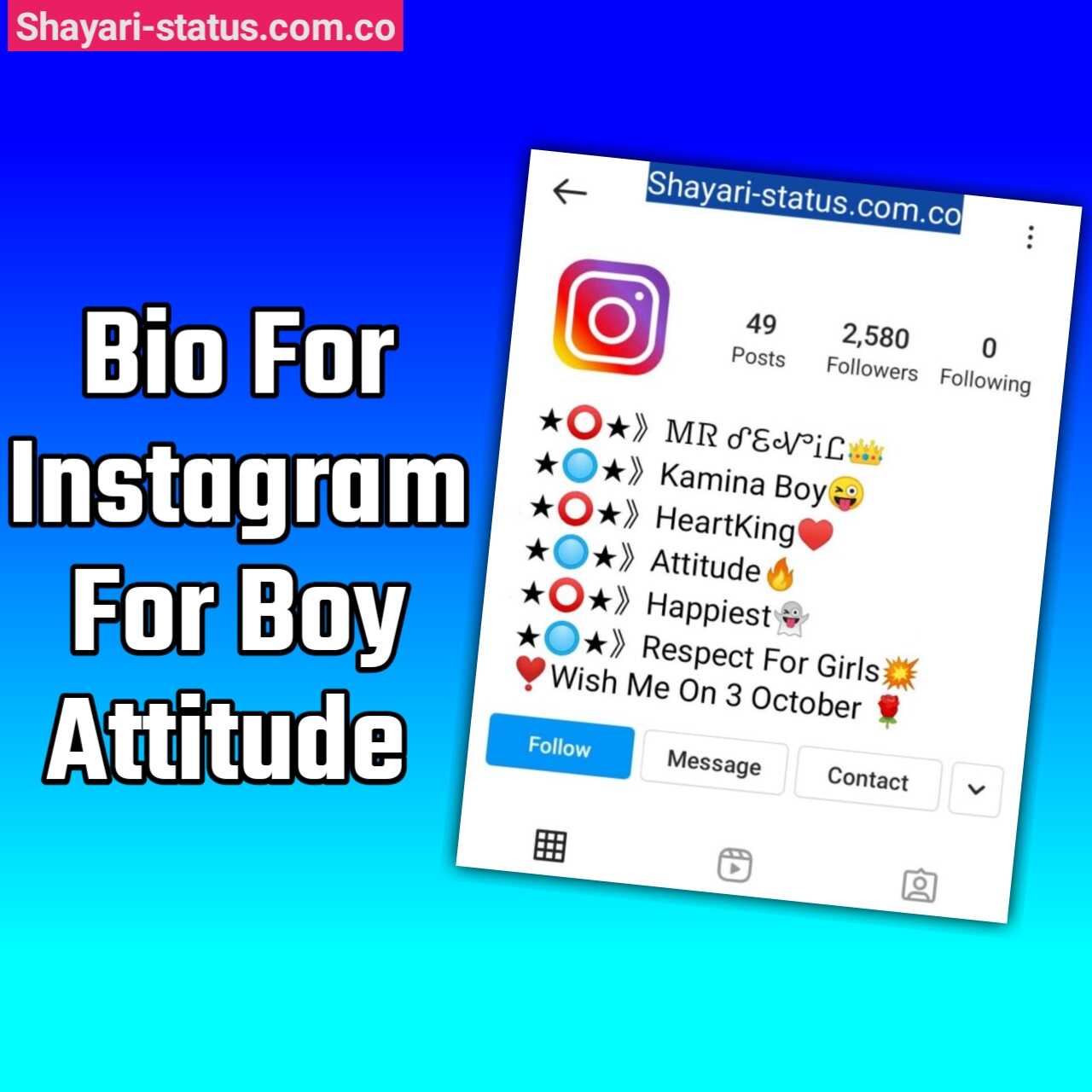 Bio For Instagram For Boy Attitude