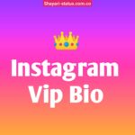 Instagram Vip Bio