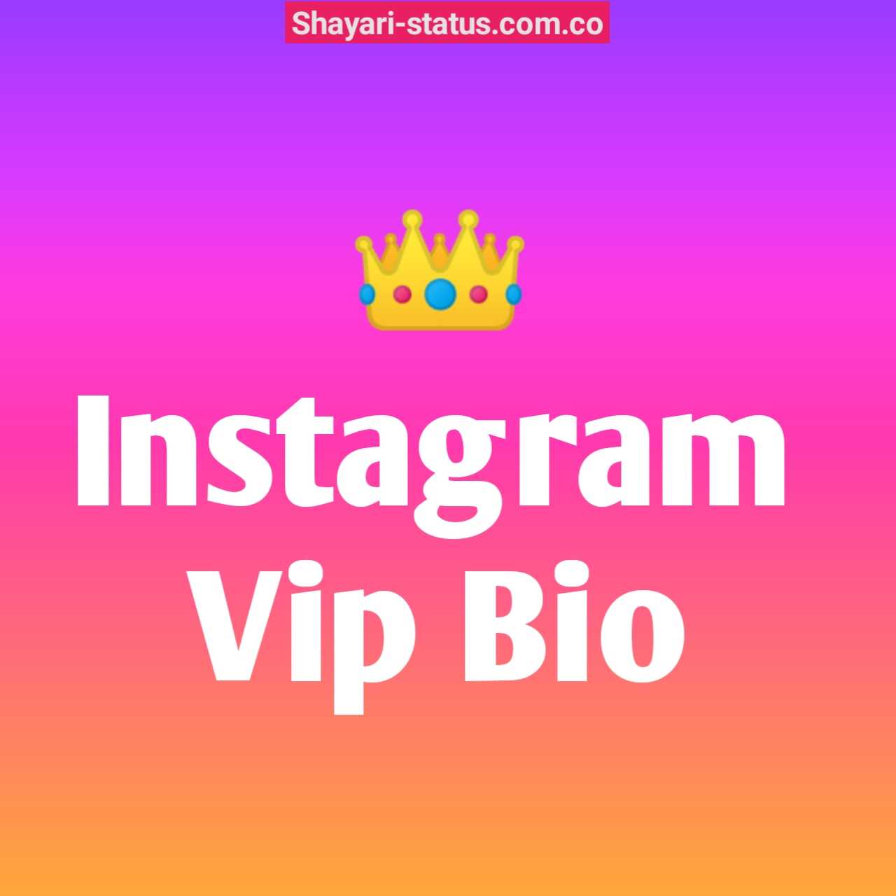 Instagram Vip Bio