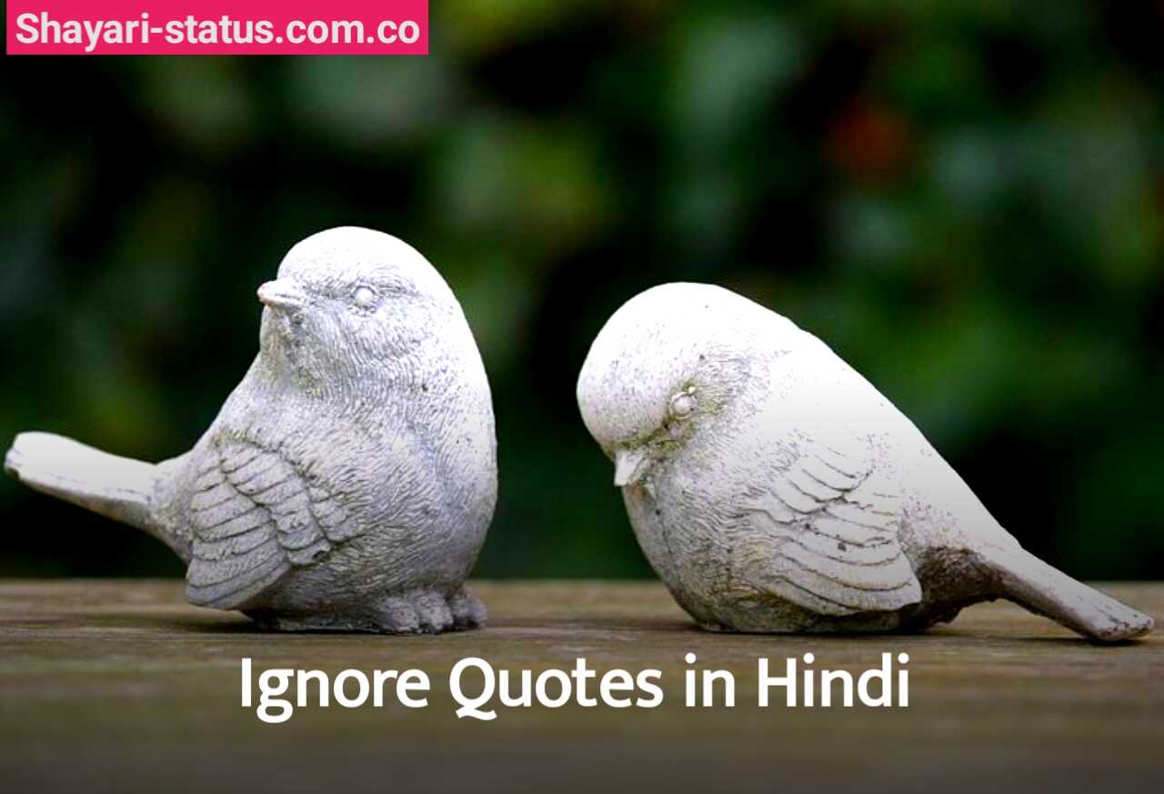 Ignore Quotes in Hindi