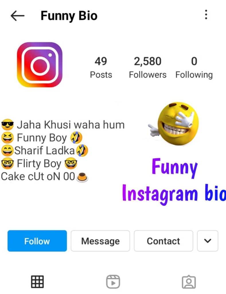 Funny Instagram Bio